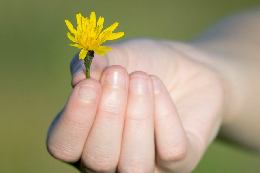 Chi pratica Yoga ha l’opportunità di essere grato e sereno