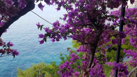 “Prendere il mare”, la prima meditazione sulla natura di Raffaella Marini