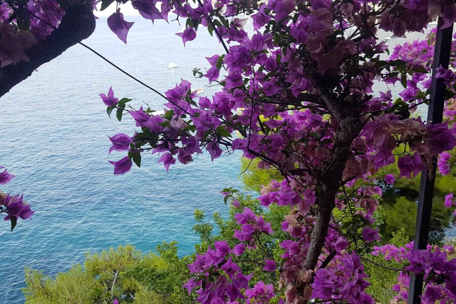 “Prendere il mare”, la prima meditazione sulla natura di Raffaella Marini